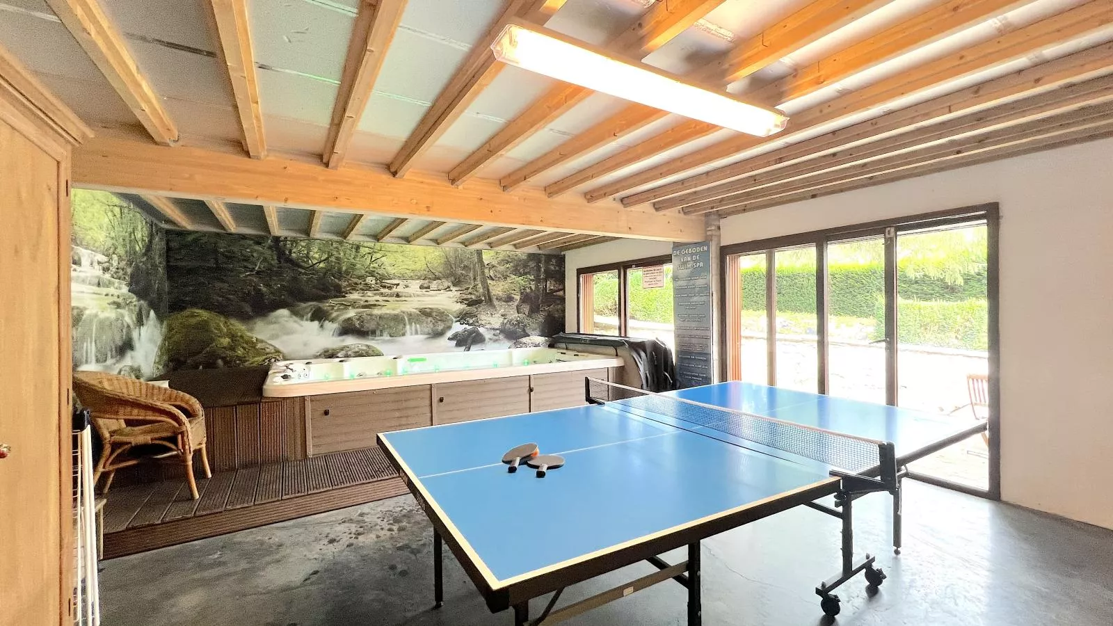 Aux Hirondelles-Recreation room