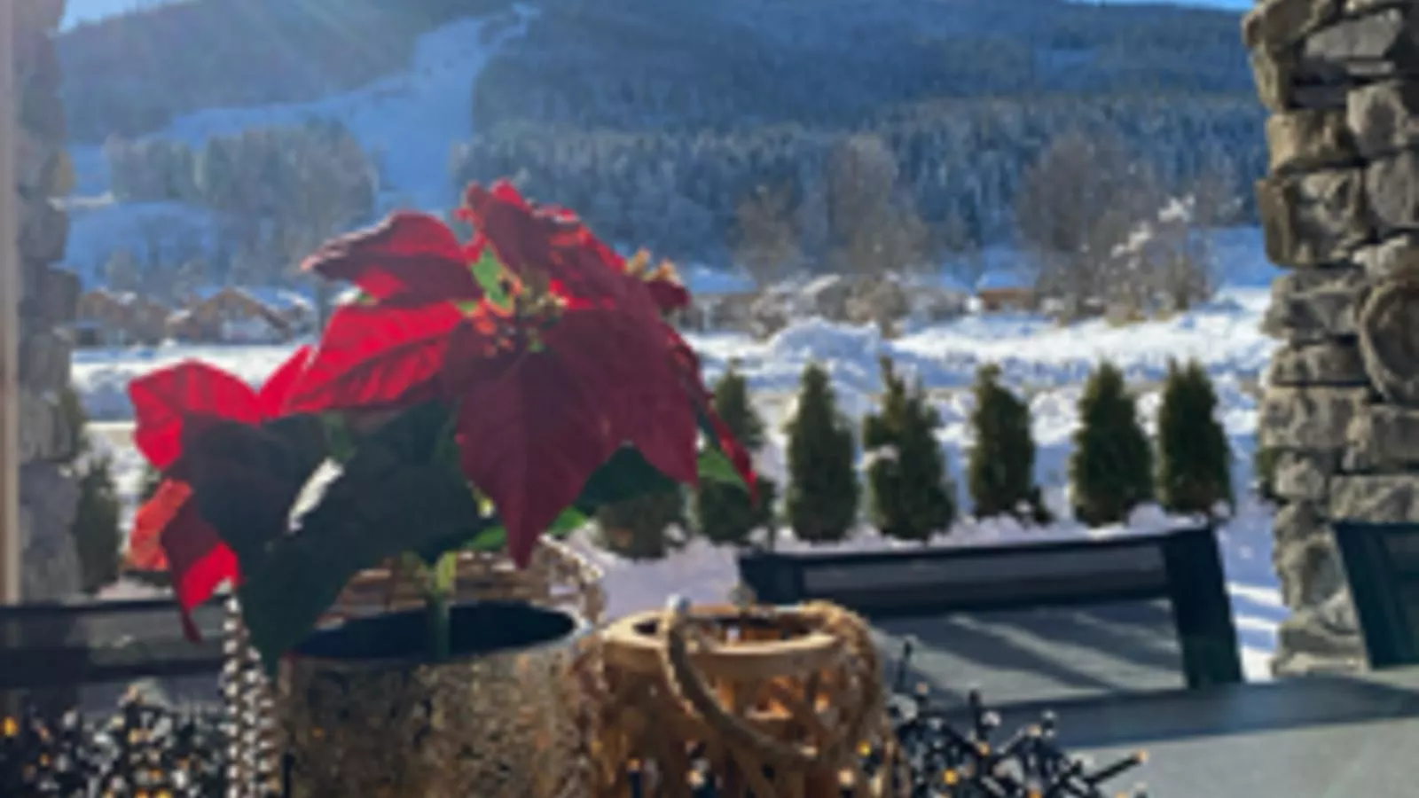 Mountain Chalet Esttes-Atmosphere