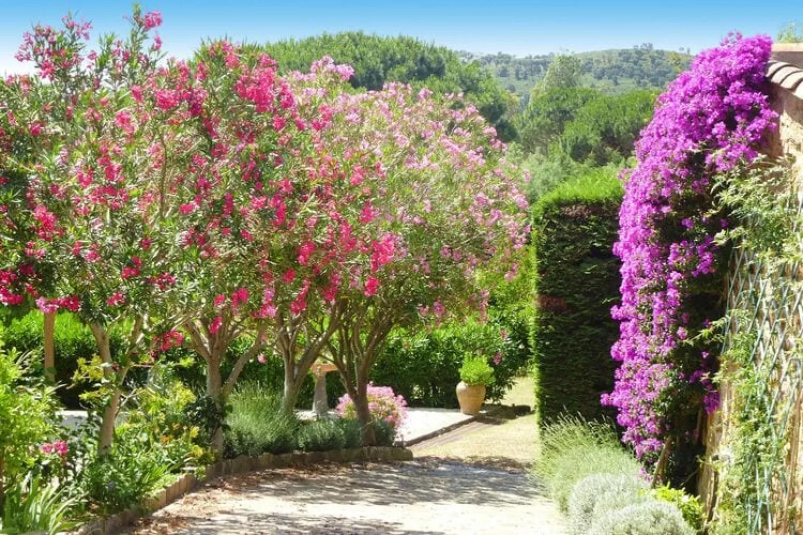 Doppelhaushälfte in Roquebrune-sur-Argens-Gardens summer