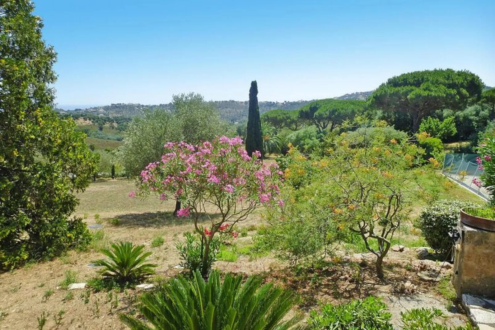 Doppelhaushälfte in Roquebrune-sur-Argens-Gardens summer