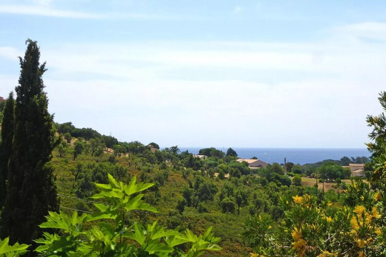 Doppelhaushälfte in Roquebrune-sur-Argens-View summer