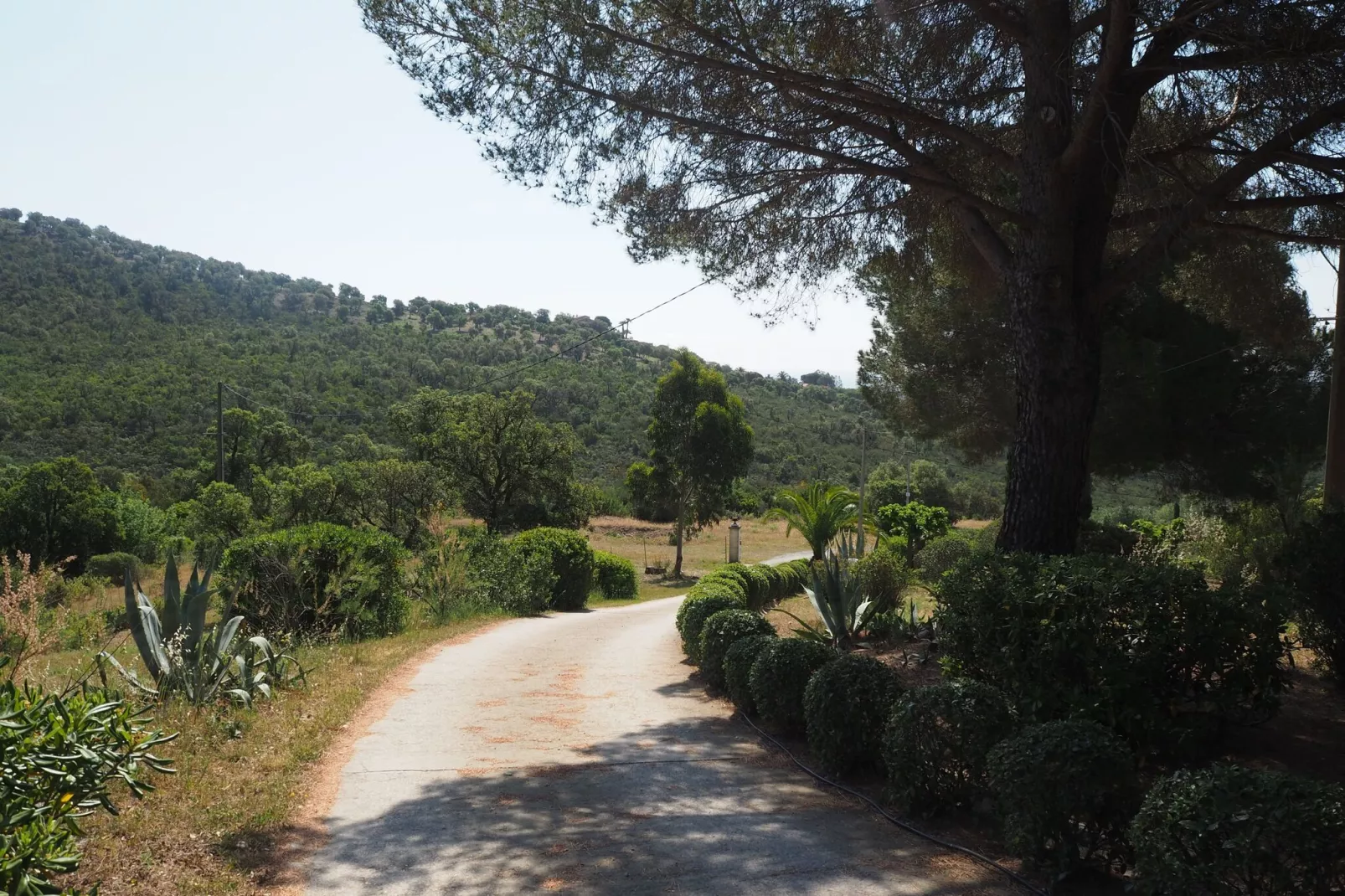 Doppelhaushälfte in Roquebrune-sur-Argens-Outdoor