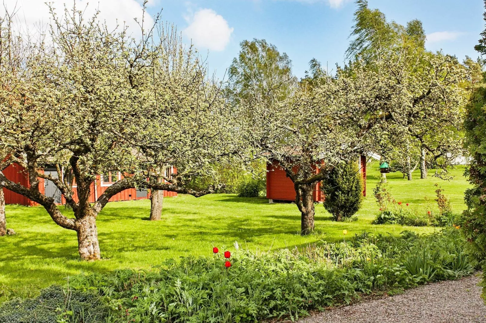 4 person holiday home in SÖDERÅKRA-By Traum-Outdoor