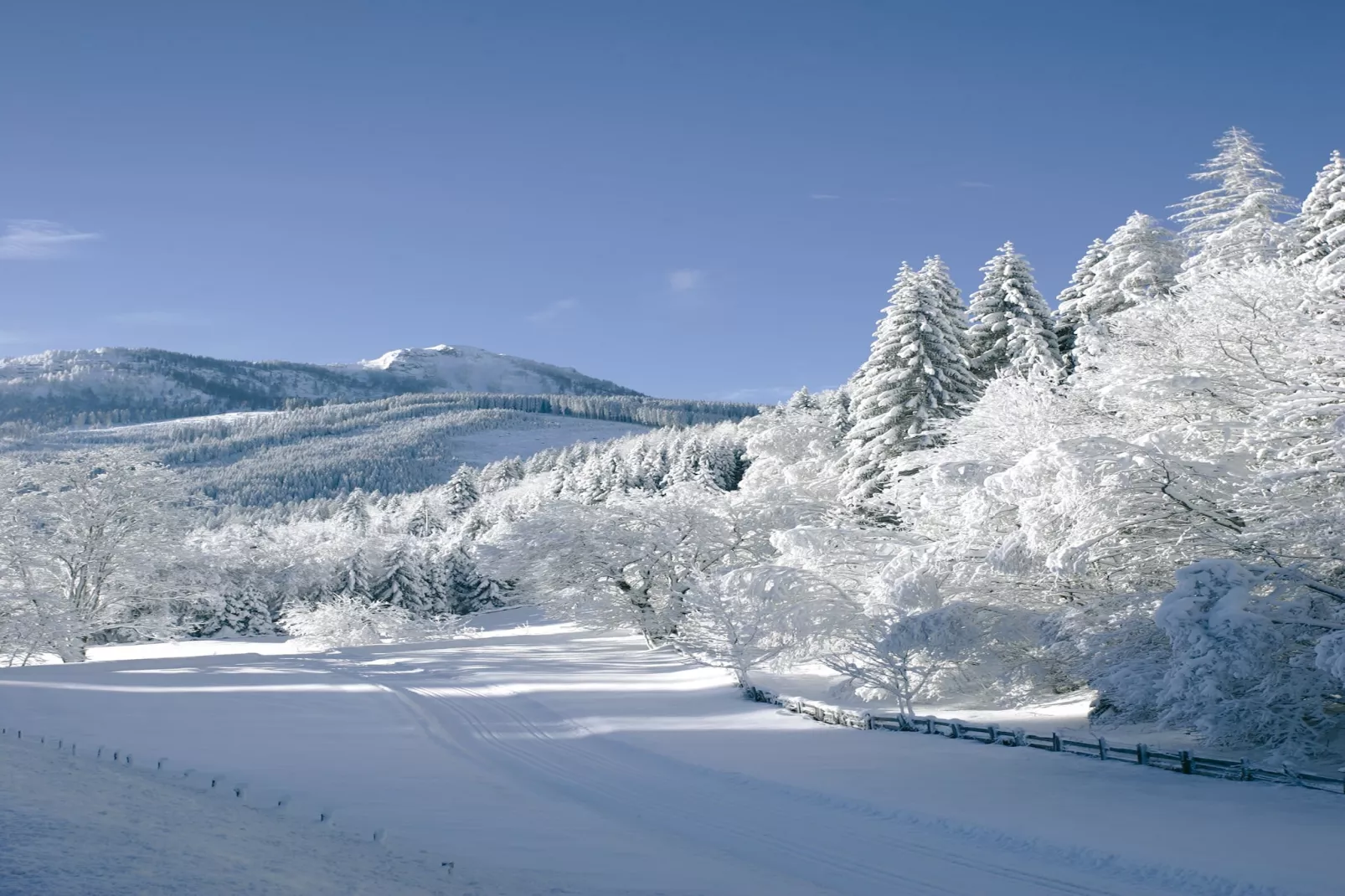 Wellness-Aparthotel-Kleinarl-Gebiet Winter 1 km