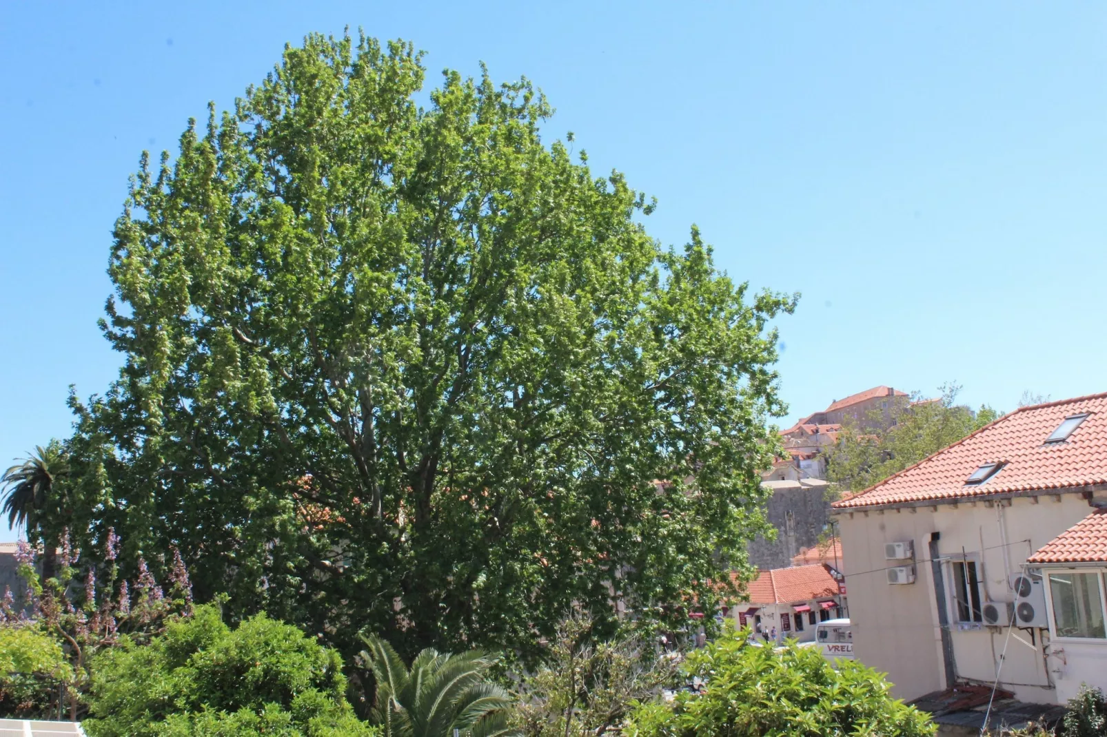 Guest House Gugily- Twin Room with Shared Bathroom and City View (4)-View