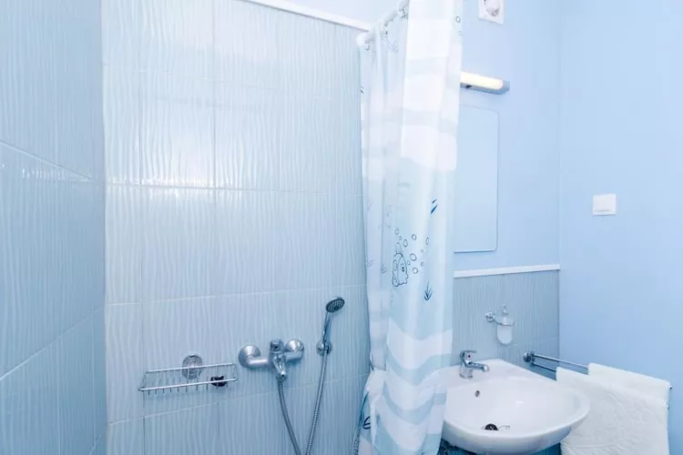 Apartments & Rooms Tapera- Standard One Bedroom Apartment with Terrace and Garden View ( ZELENI 2 )-Bathroom