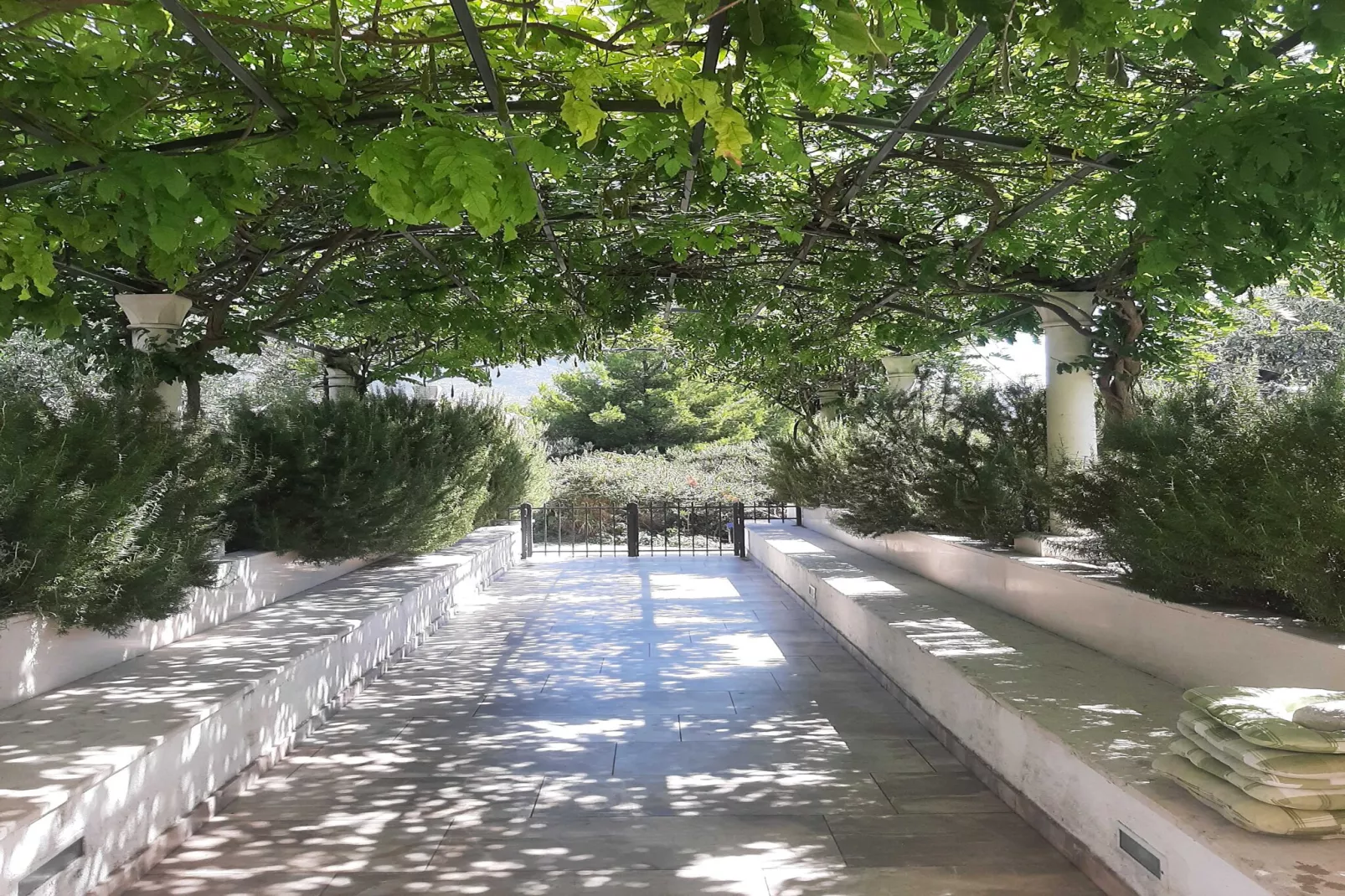 Apartments Trstenica-One Bedroom Apartment with Terrace ( A )-Gardens summer