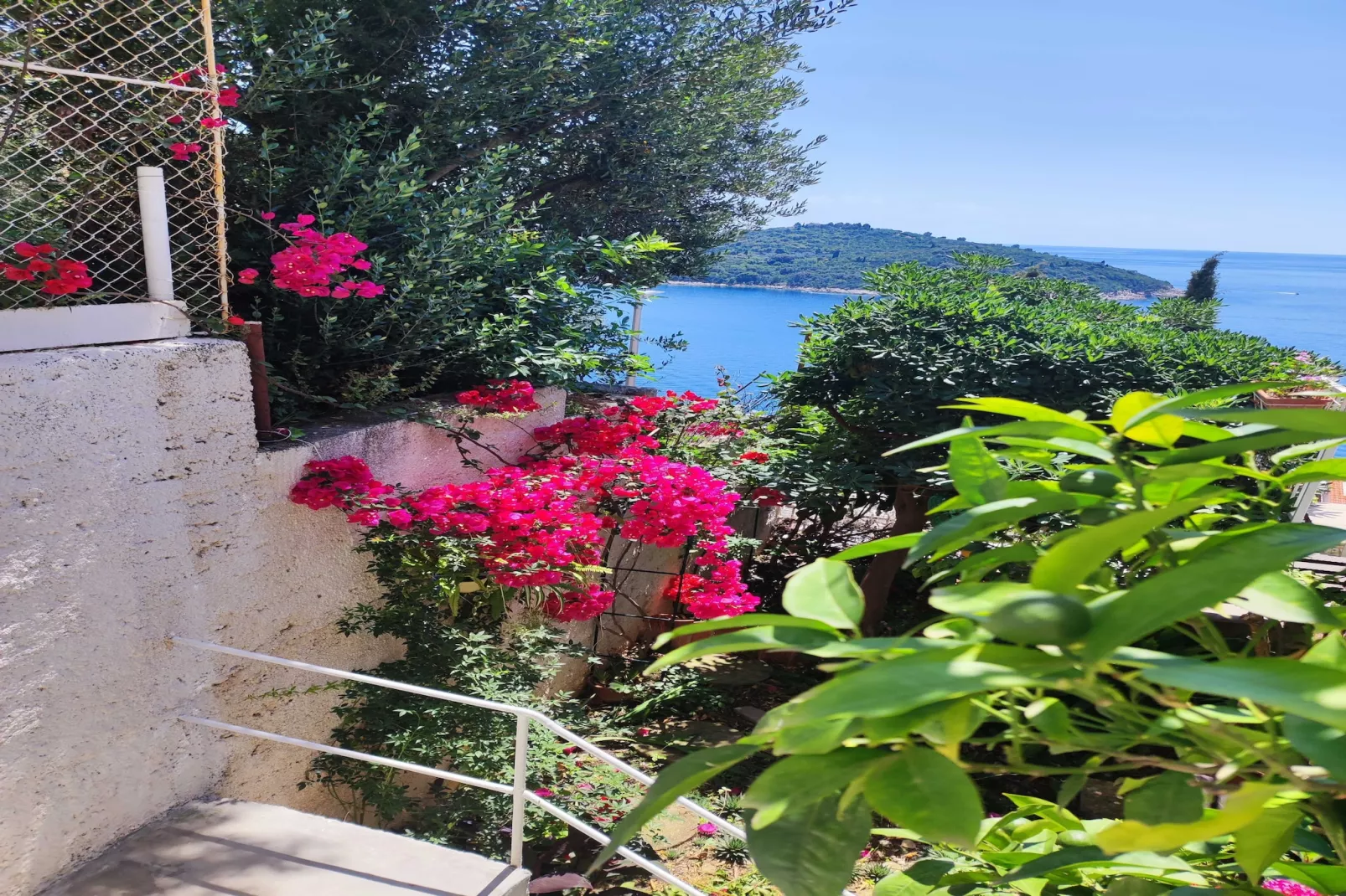 Apartment Agneza - One bedroom apartment with terrace-Outdoor