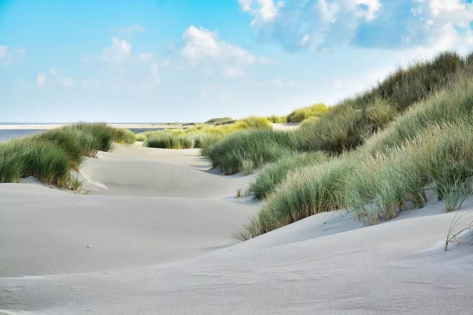 Schoneveld 36 Zeester Breskens-Areas summer 5km