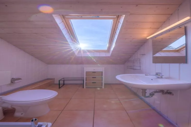Wildgans Classic 252-Bathroom