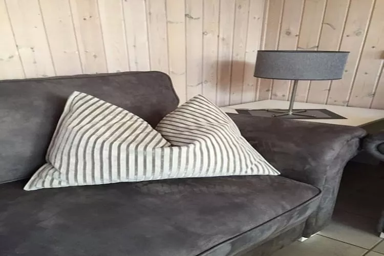 FH Wildgans Comfort mit Sauna & Kaminofen 81 qm 156-Salon