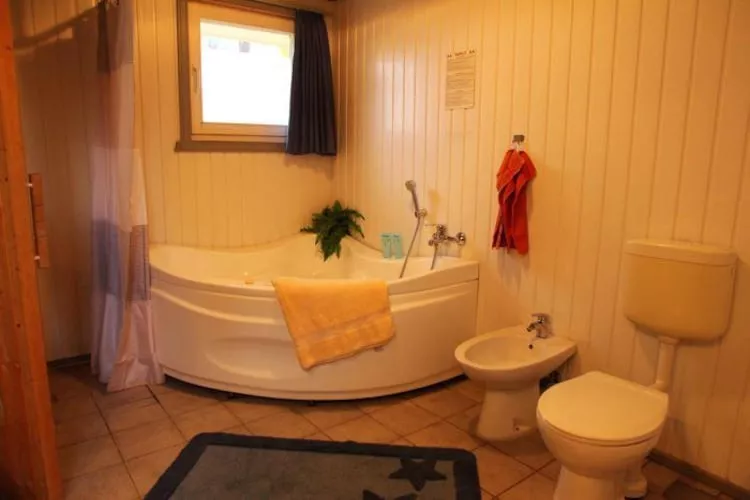 FH Wildgans Comfort Nr 279-Bathroom