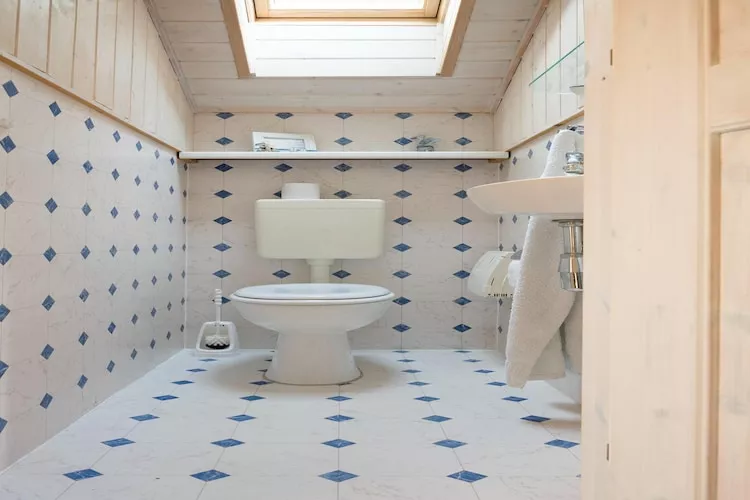 FH Wildgans Comfort Nr 28-Bathroom