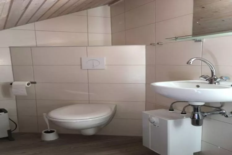 FH Wildgans Comfort Nr 123 (DE-17252-4092)-Bathroom