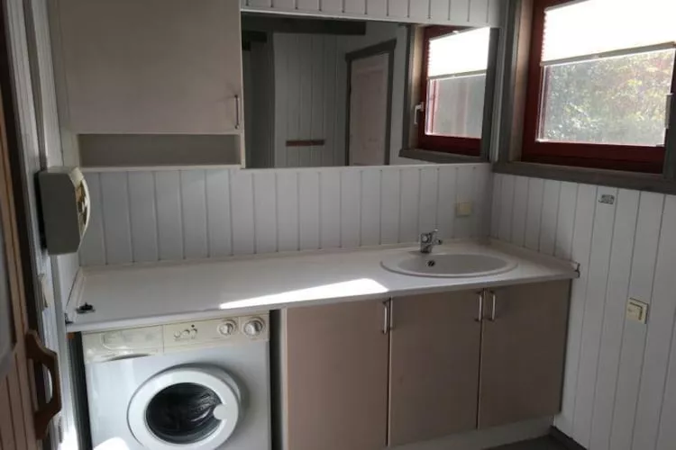 FH Wildgans Comfort Nr 123 (DE-17252-4092)-Bathroom