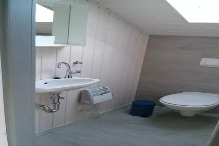 FH Wildgans Comfort Nr 268-Bathroom