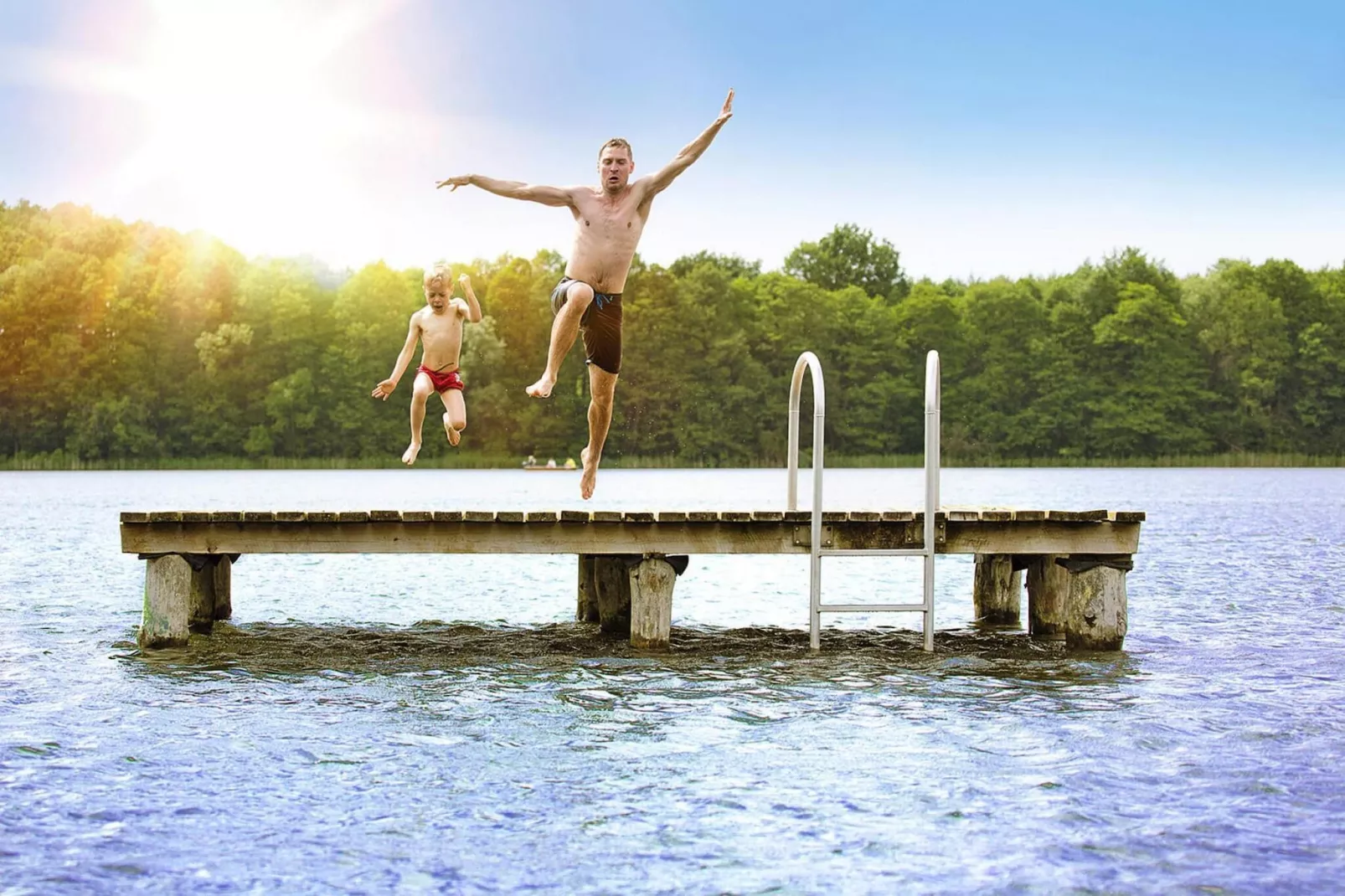Schneeeule 201-Areas summer 1km