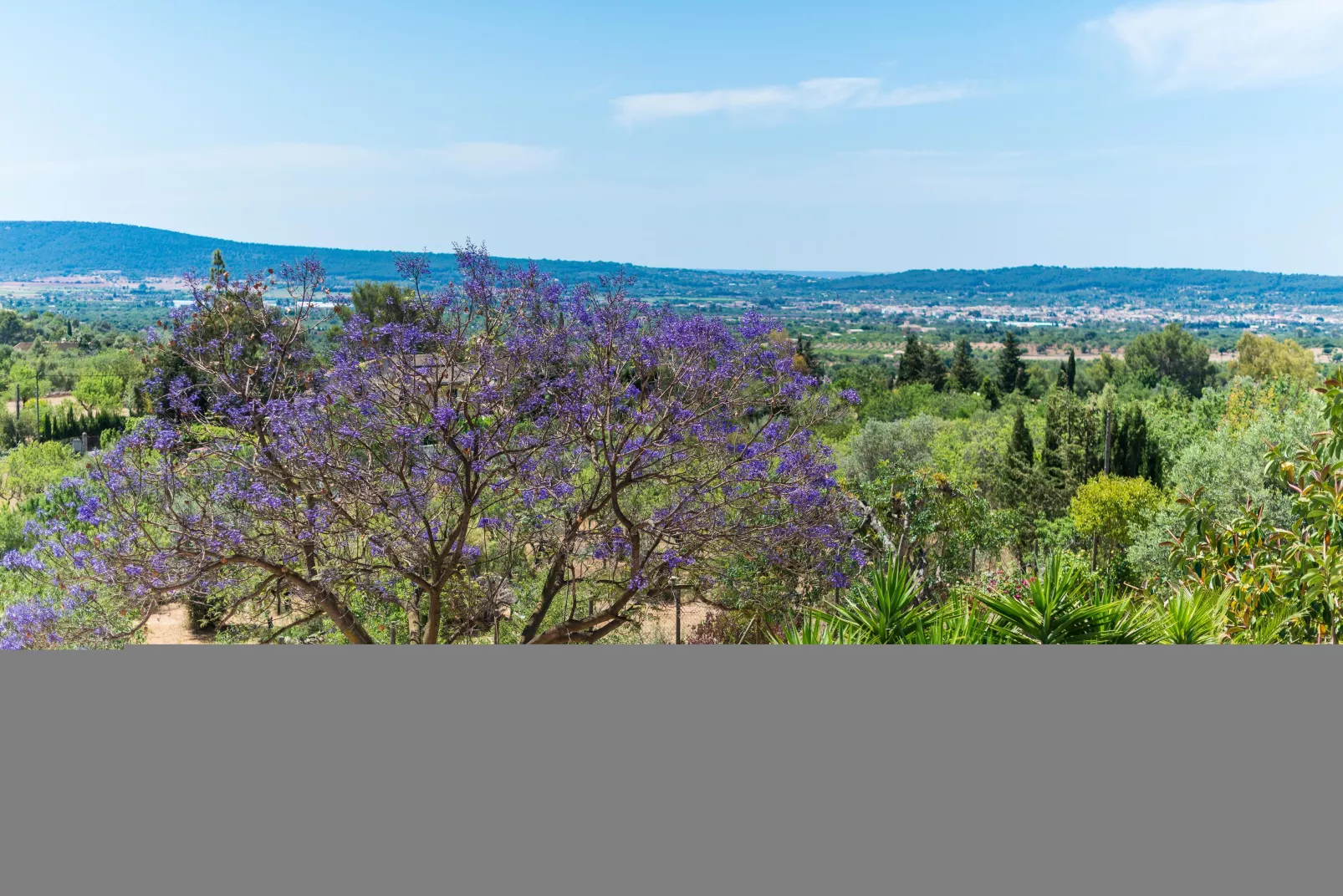 Es Pinar-Areas summer 5km
