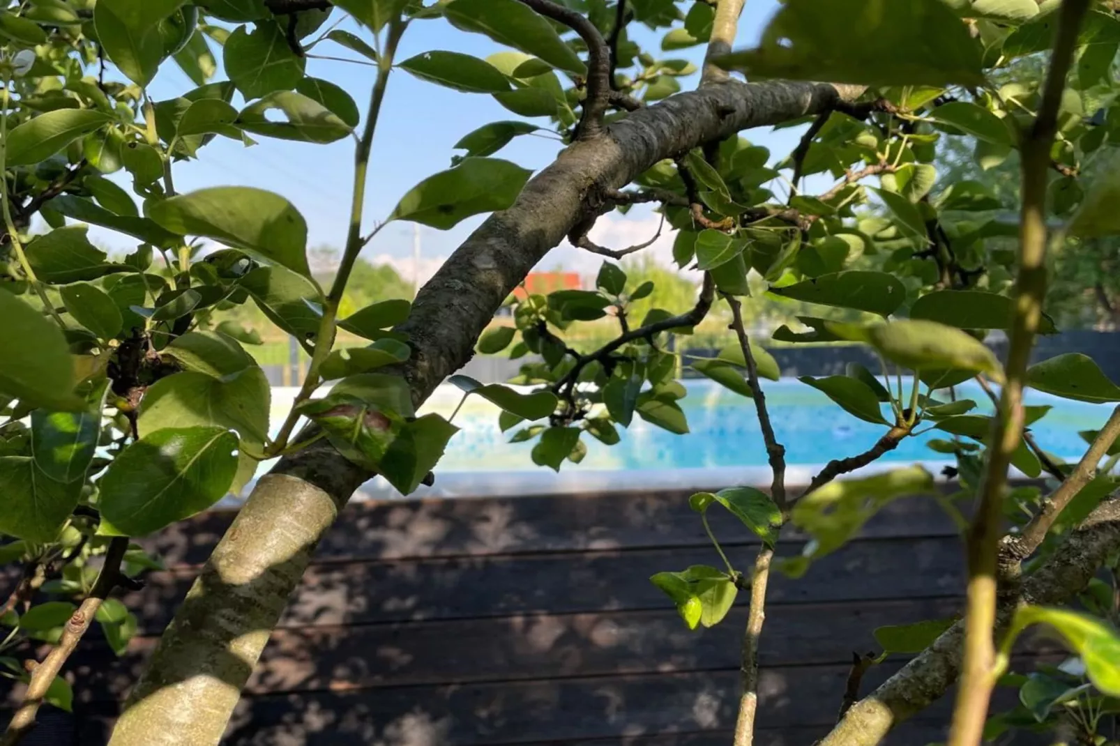Tetina Kuća - Two Bedroom Holiday Home with Terrace-Gardens summer