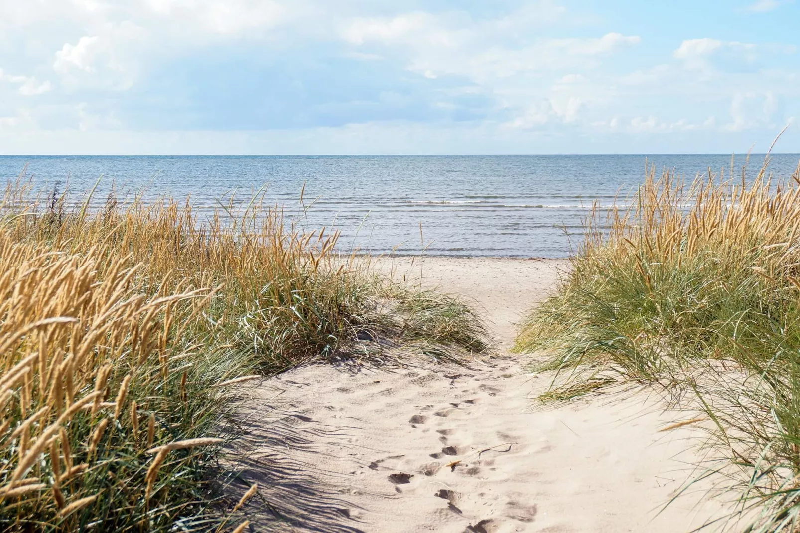 5 person holiday home in FALKENBERG-Not tagged