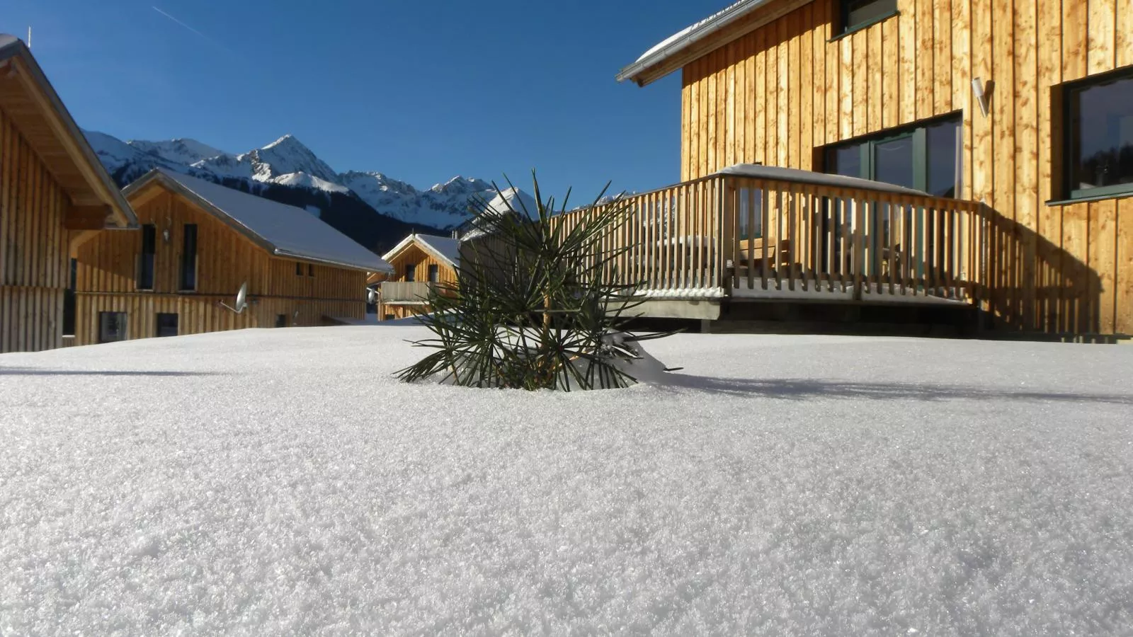 Das Edelweiss-Exterior winter