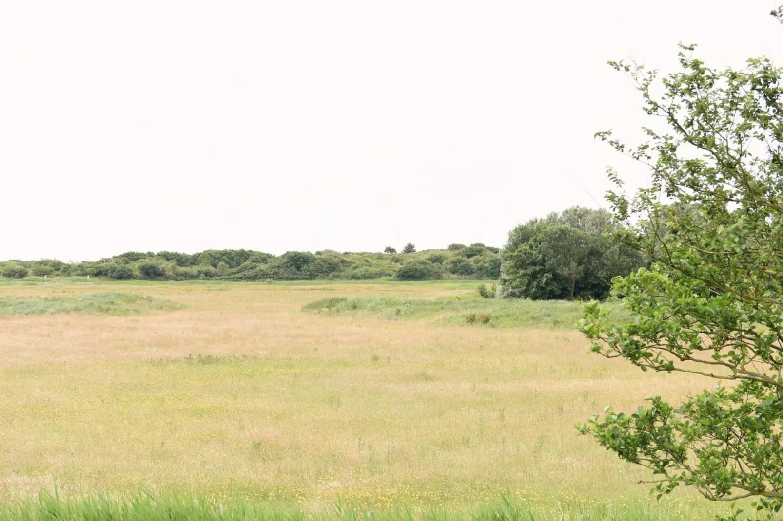 Vossehoeck 4-Areas summer 1km