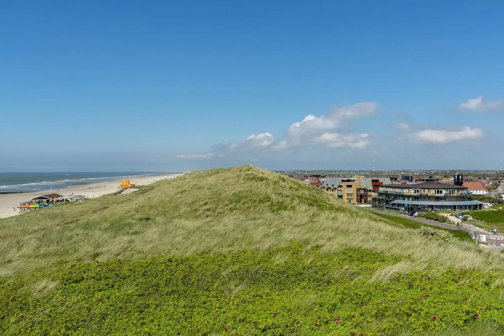 Wijde Blick 301-Areas summer 1km