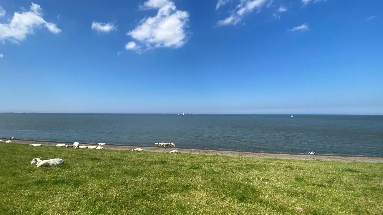 Het Koetshuis-Areas summer 5km