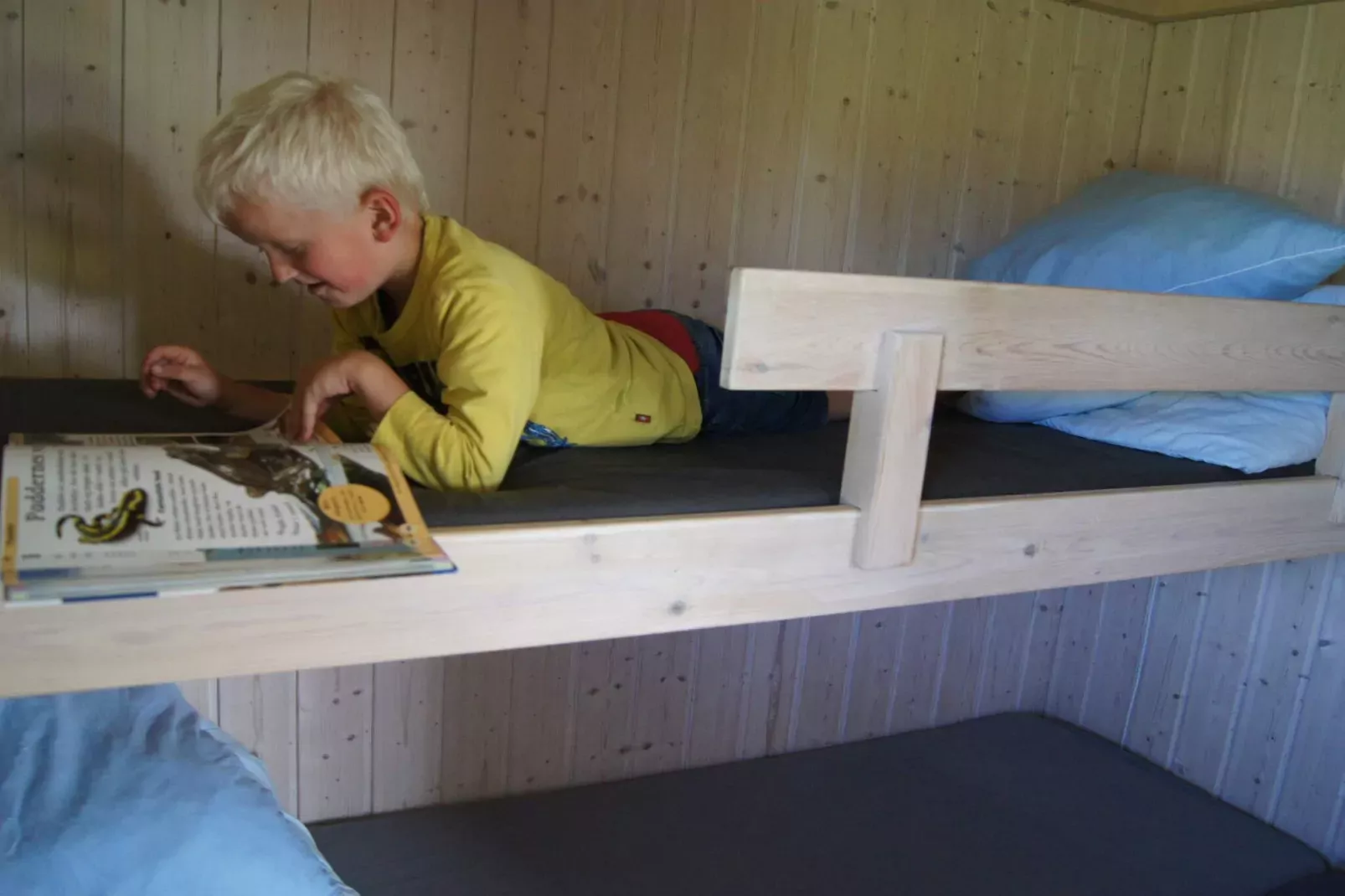 Cabin in camping resort with activities-Indoor