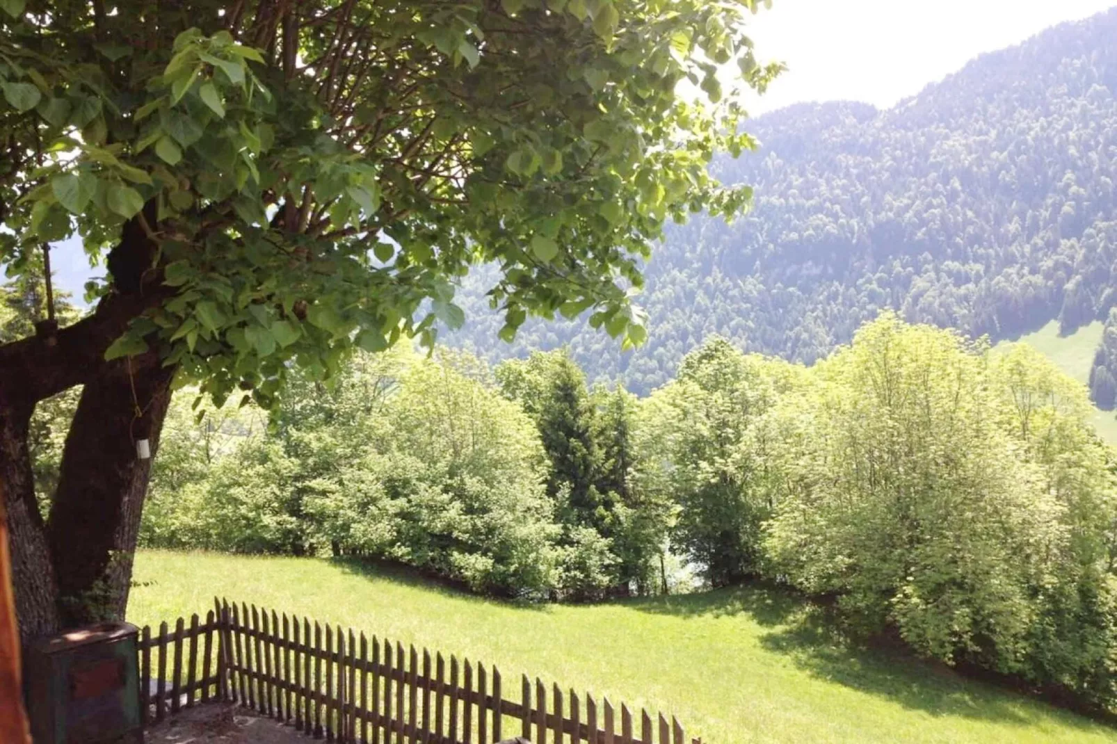 Heidi Chalet-Gardens summer