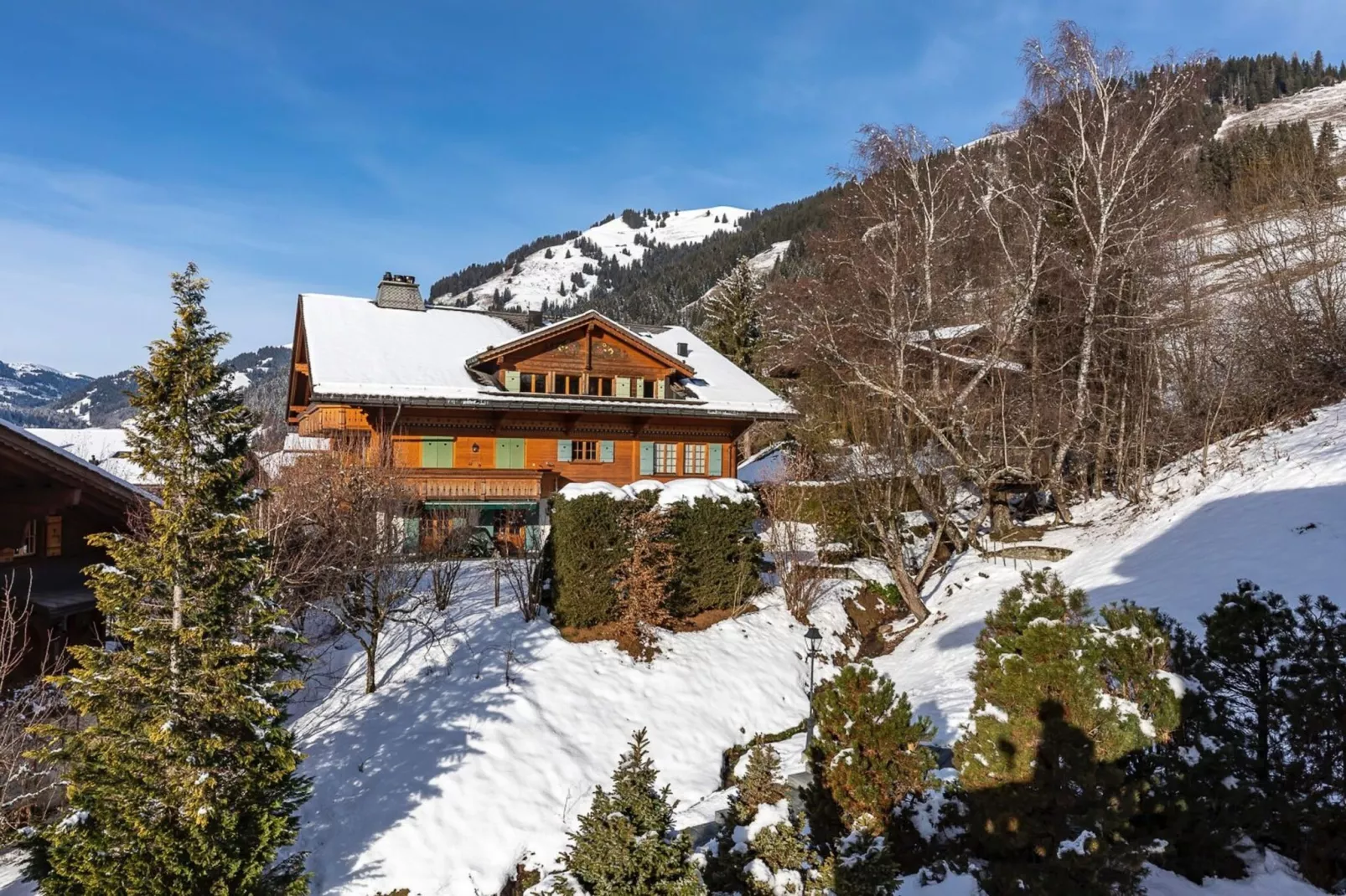 Beautiful Alpine Luxury Flat in Rougemont-Exterior winter