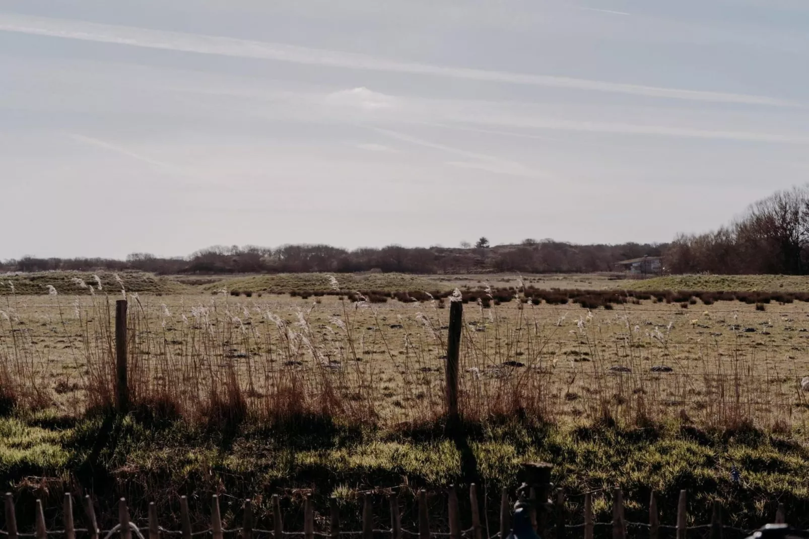 Juttershut Duynpark - Callantsoog-Gebiete Sommer 1 km