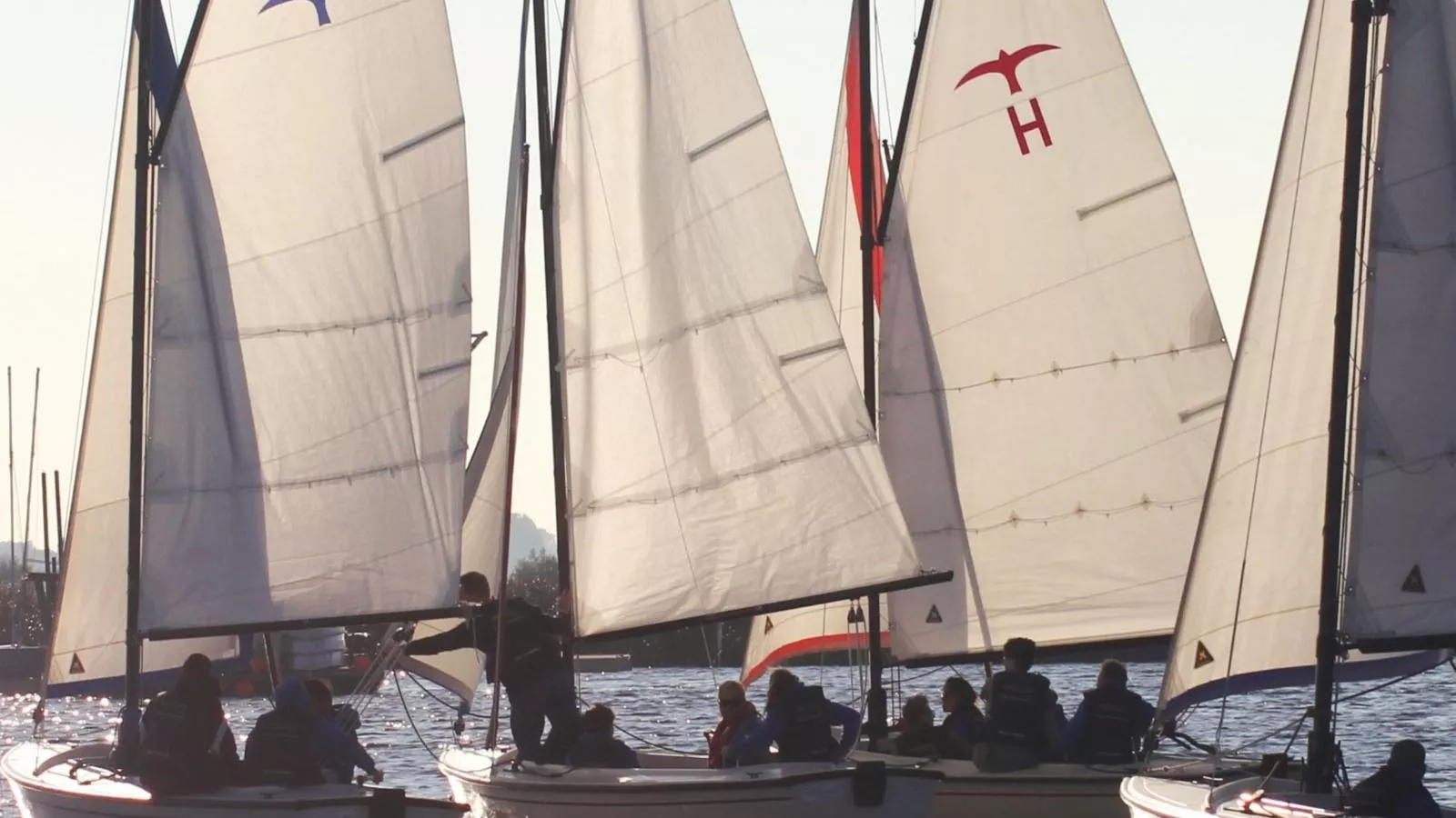 De Kaag Watersport Groepsaccommodatie - 50 pers-Areas summer 1km