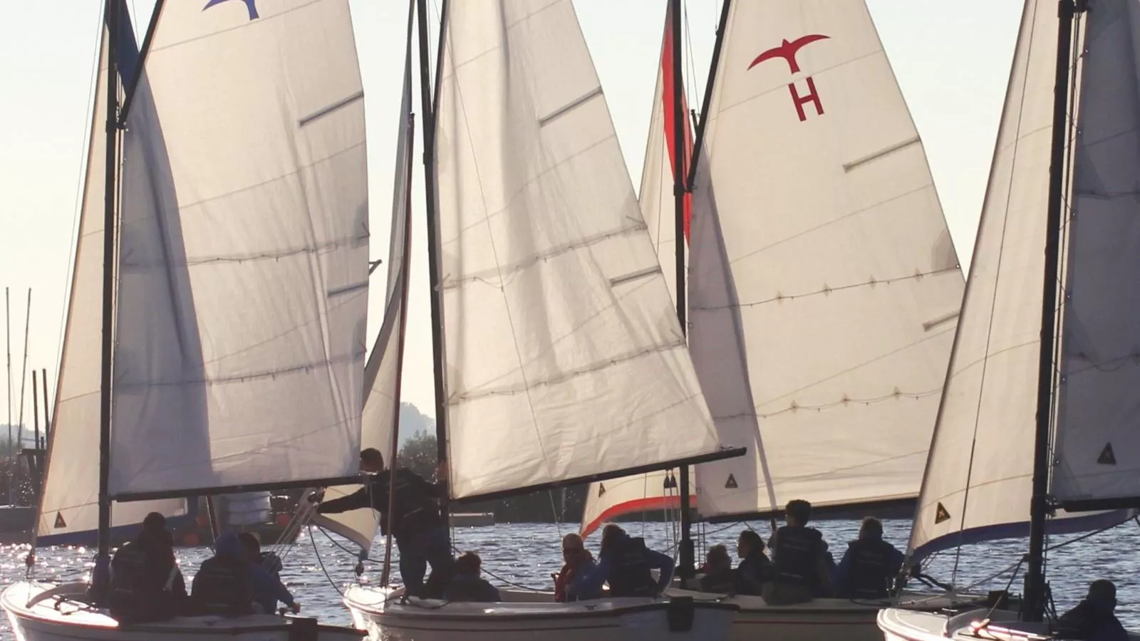 De Kaag Watersport Groepsaccommodatie - 30 pers-Areas summer 1km