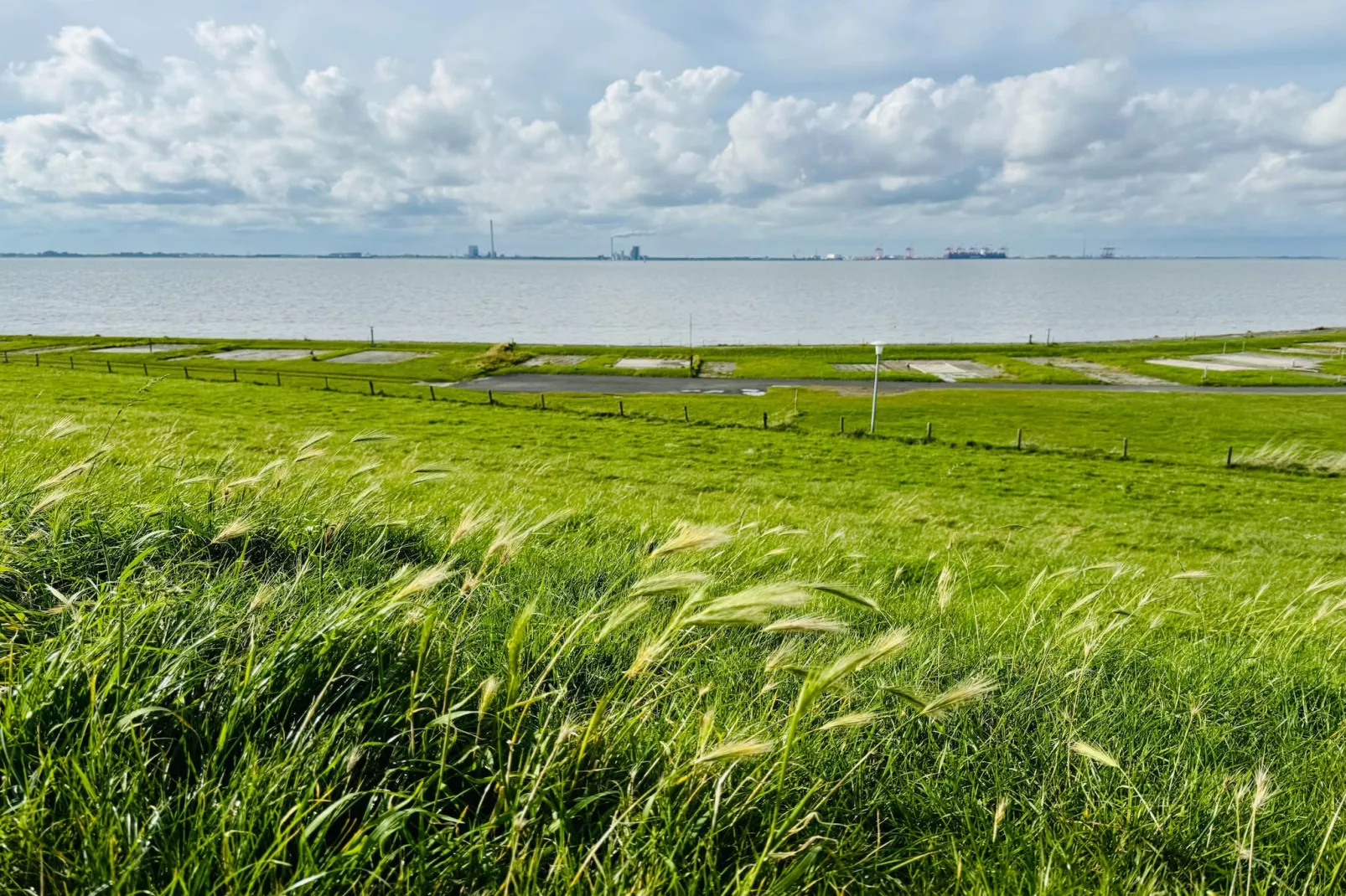 Friesenkoje Tossens-Areas summer 1km