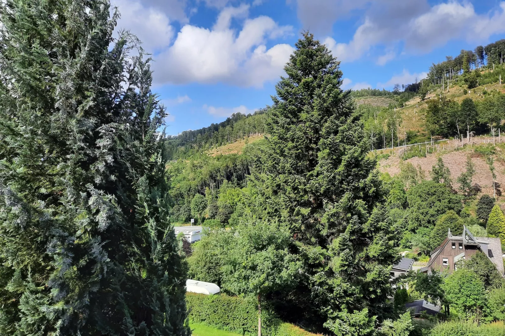 Yalet-View summer