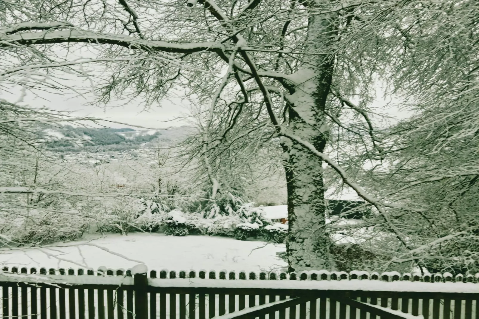 Yalet-Area winter 20km