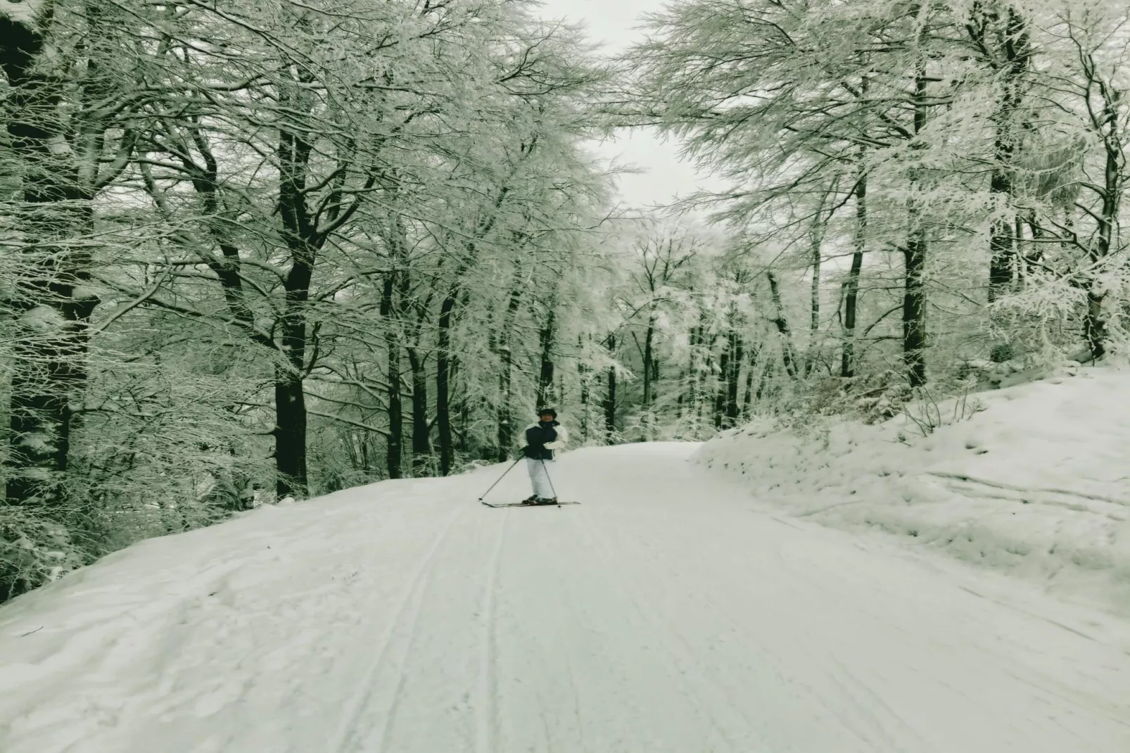 Yalet-Area winter 20km