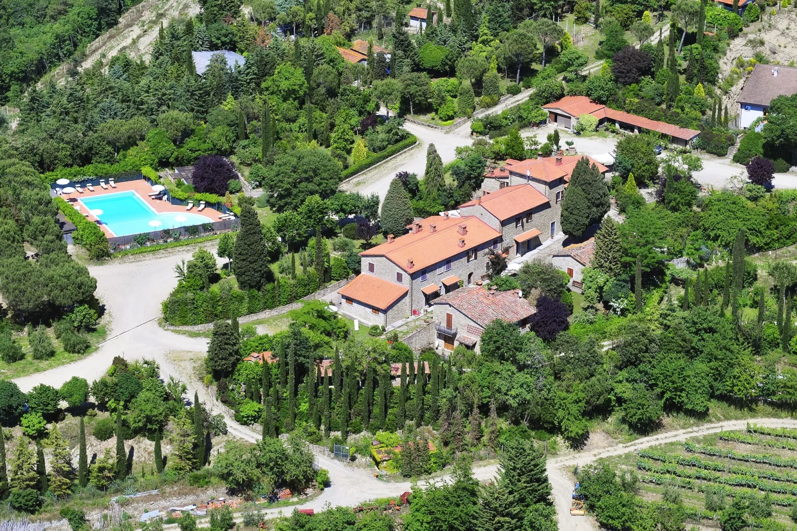 Cipresso-Exterior summer