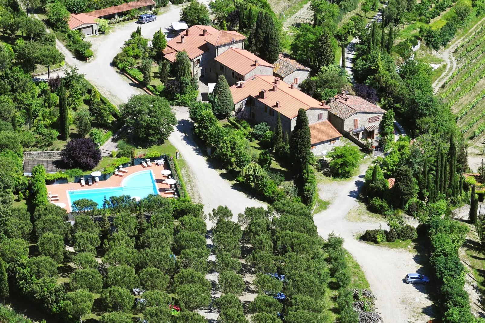 Cipresso-Exterior summer
