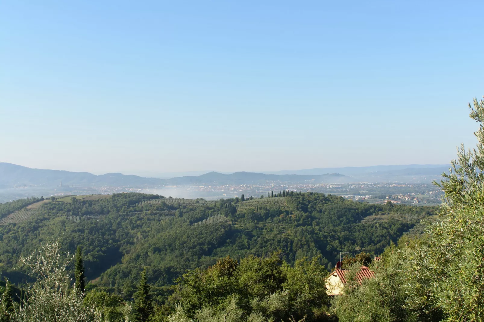 Ulivo-Areas summer 5km