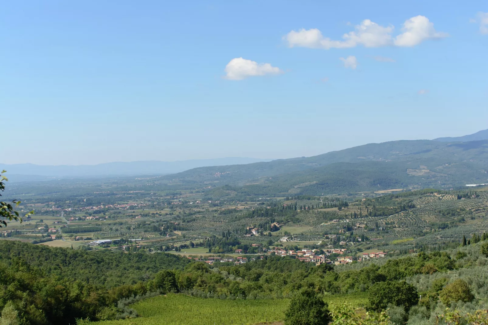 Ulivo-Areas summer 5km
