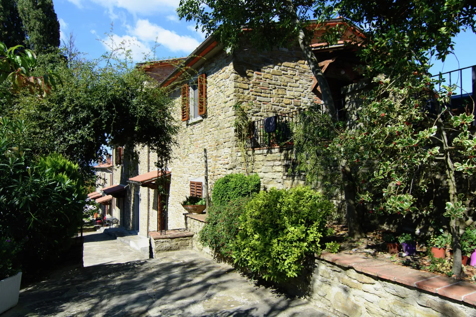 Ulivo-Exterior summer