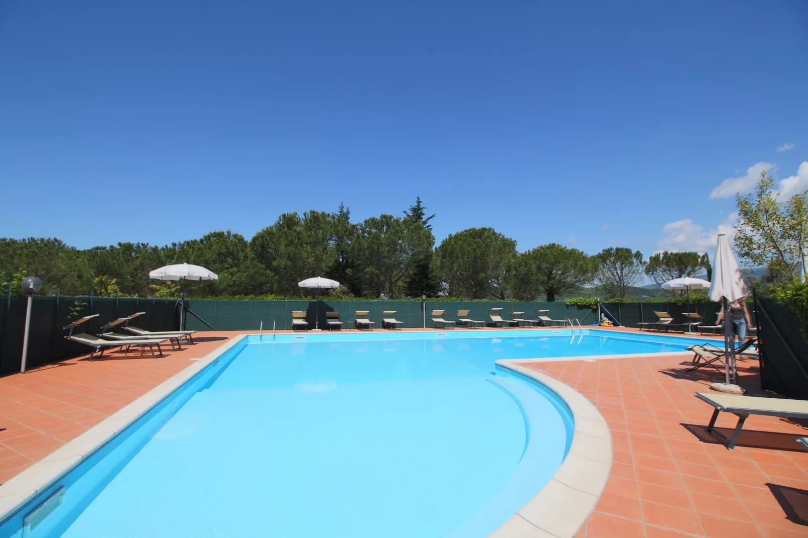 Ulivo-Pool