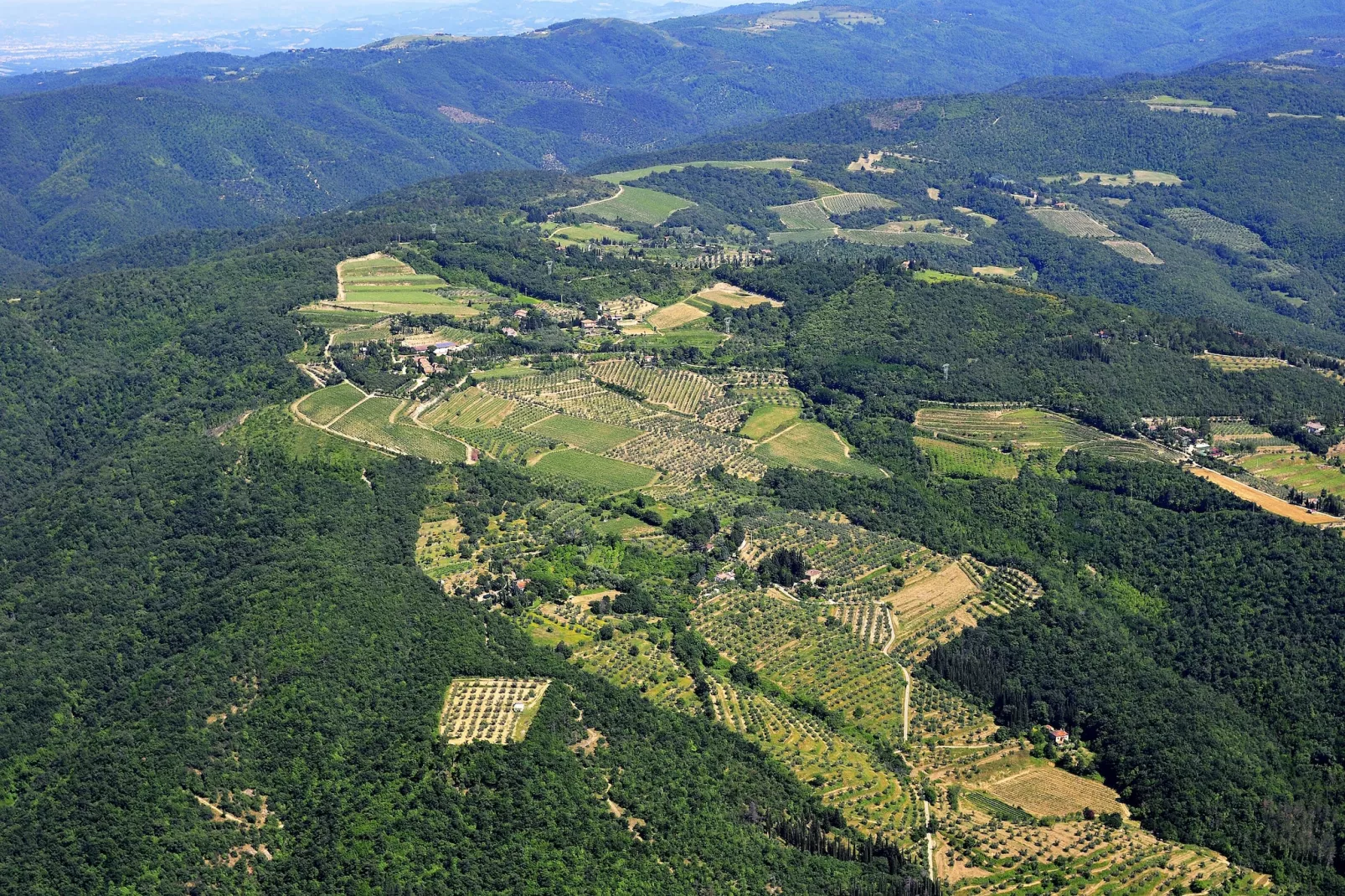 Pino-Gebiete Sommer 20 km