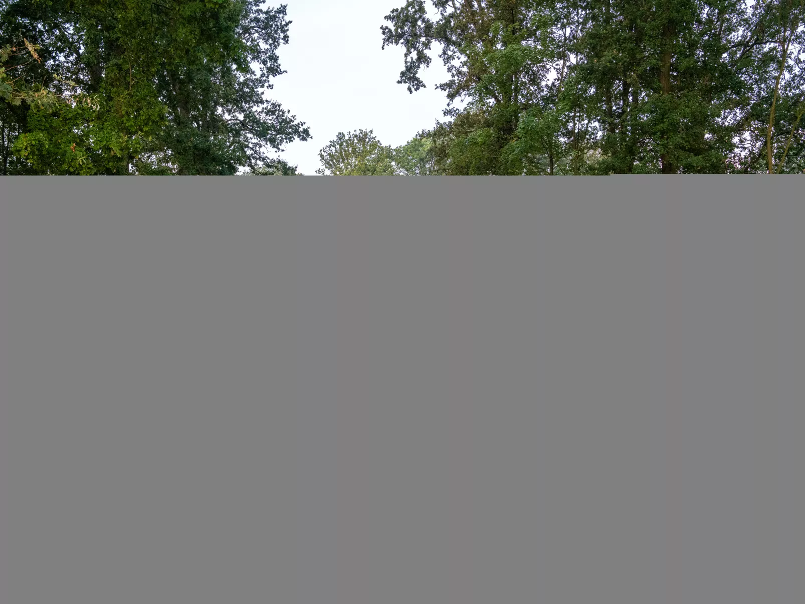 The Lodge by YourNature-Areas summer 1km