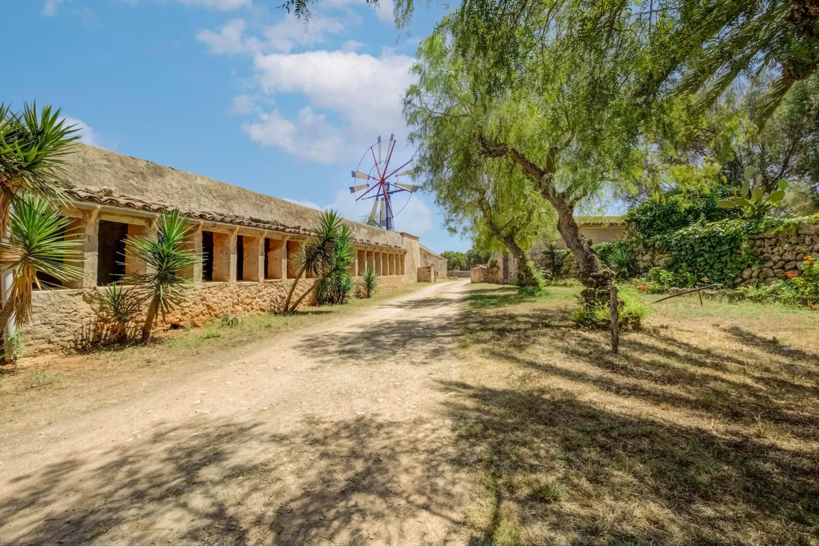 Gallinero-Exterior summer