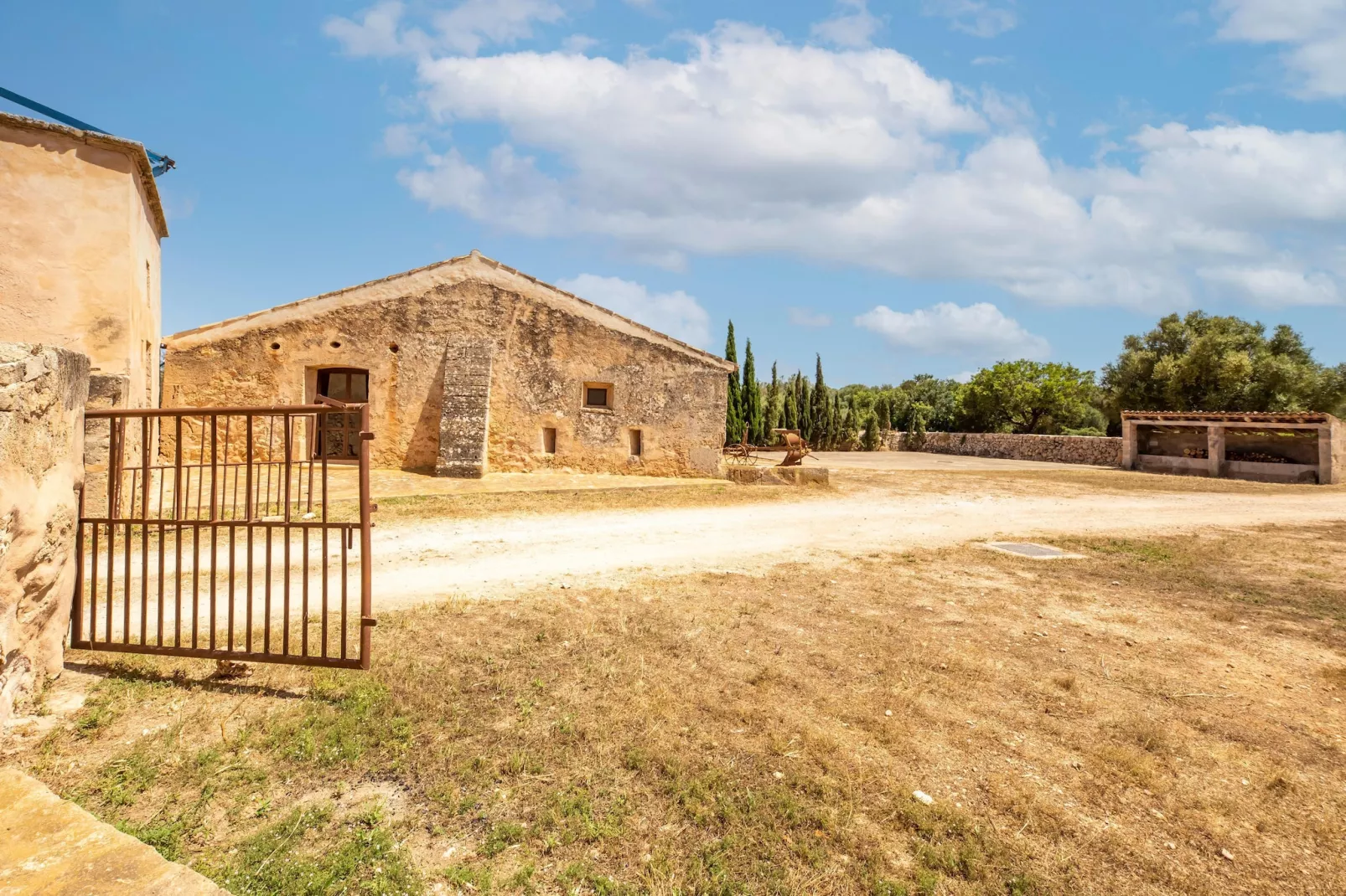 Gallinero-Exterior summer