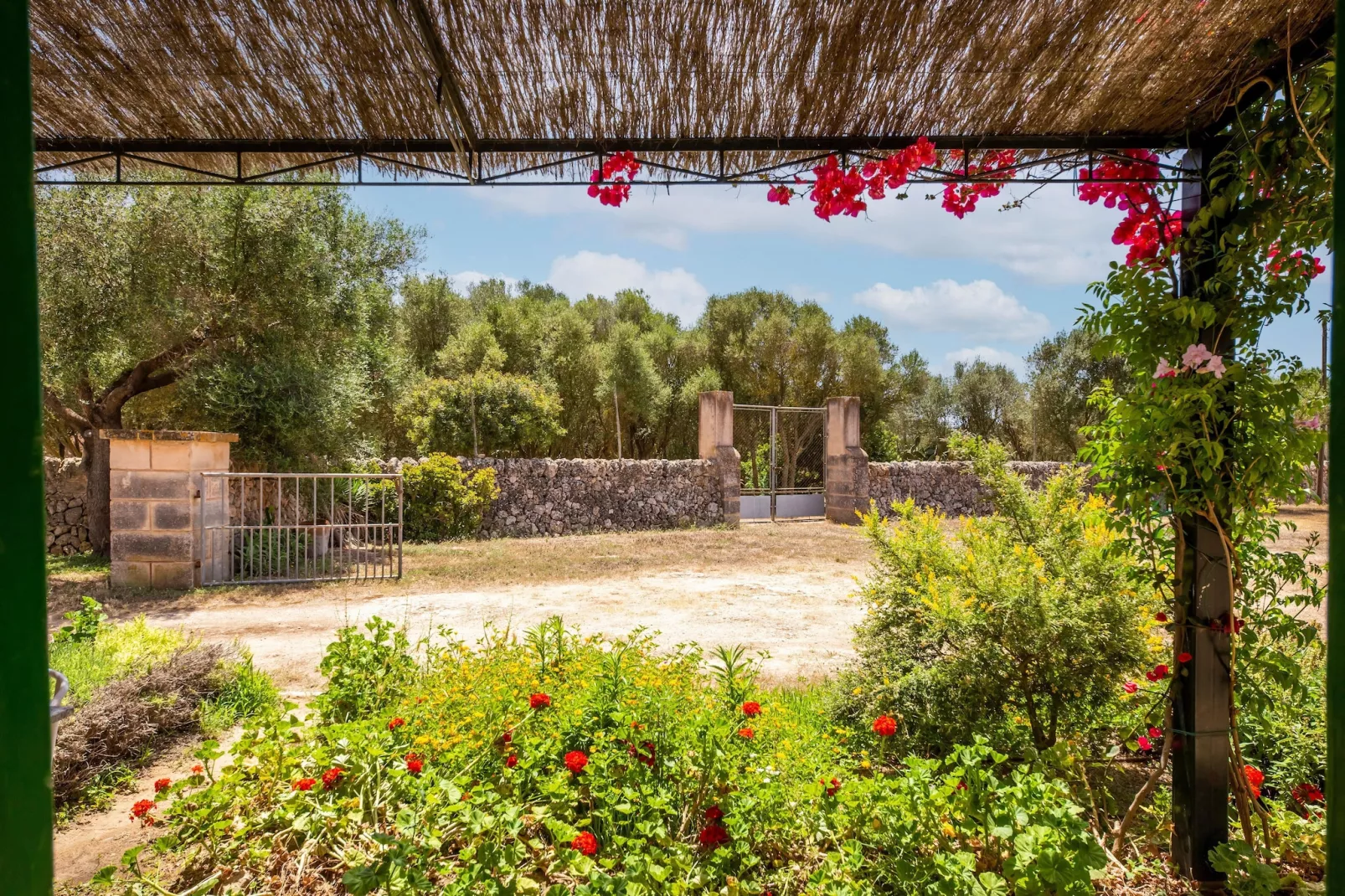 El Taller-Gardens summer