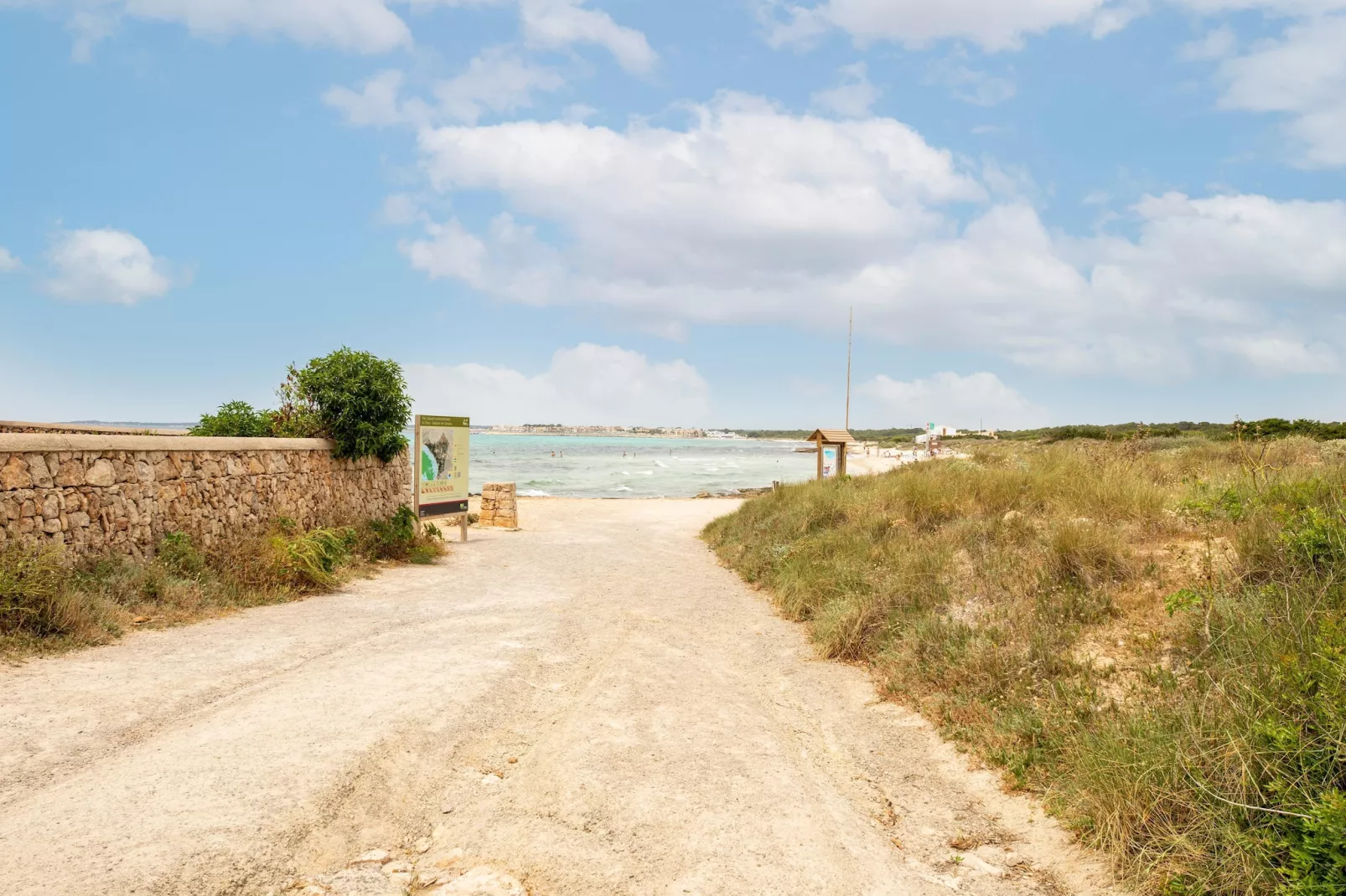 El Taller-Areas summer 5km